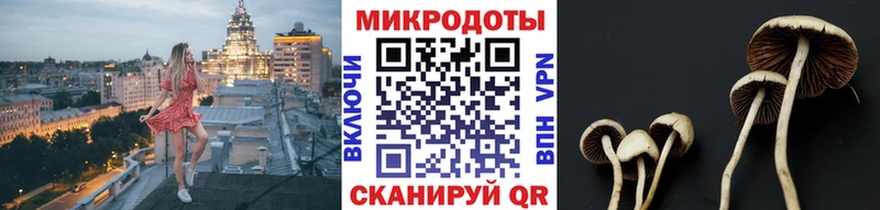 купить наркотики сайты  MEGA ссылка  Псилоцибиновые грибы MAGIC MUSHROOMS  Петровск 